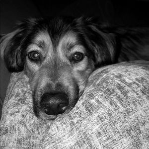 Meet your Posher, Rilyn